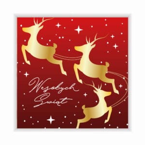 Kartka świąteczna - KS 08